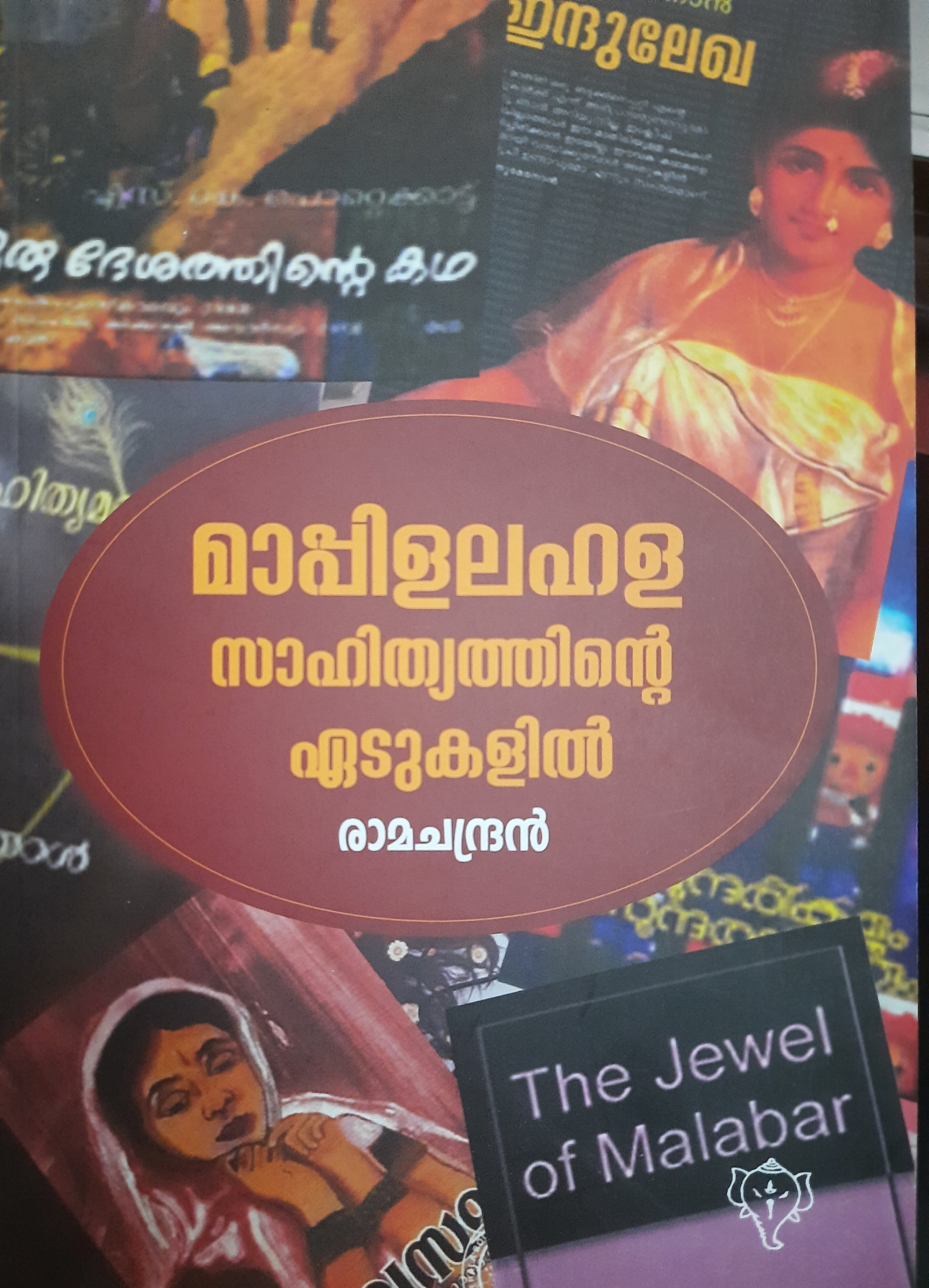 മാപ്പിള ലഹള സാഹിത്യത്തിന്റെ ഏടുകളിൽ (Paperback)