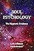 SOUL PSYCHOLOGY by Lee  Johnson