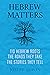 Hebrew Matters by Joseph Lowin