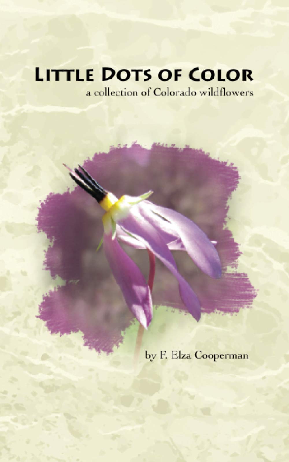 Little Dots of Color: a collection of Colorado wildflowers