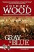 Gray & Blue: A Story of the Civil War (A Tale of Two Colors Book 2)