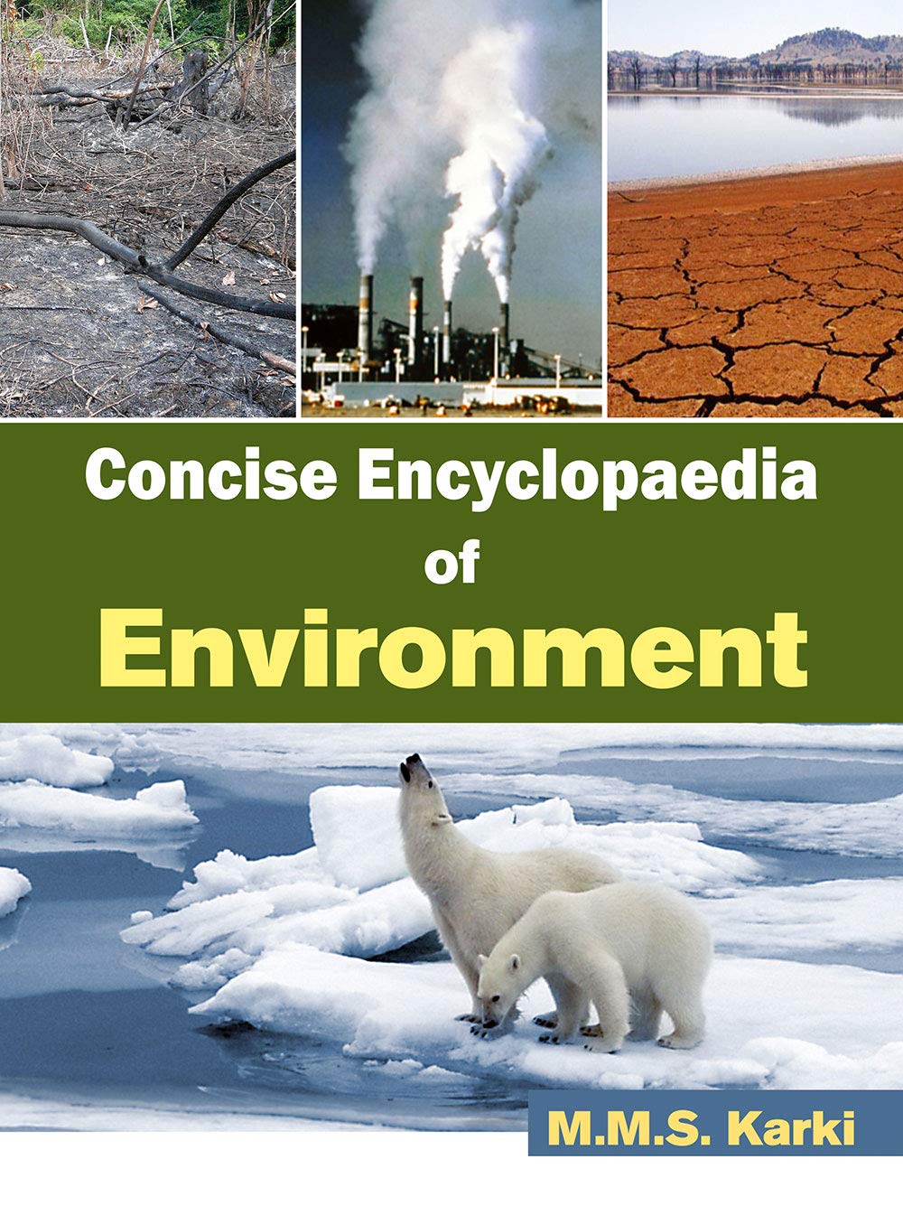 Concise Encyclopaedia Of Environment (HB)