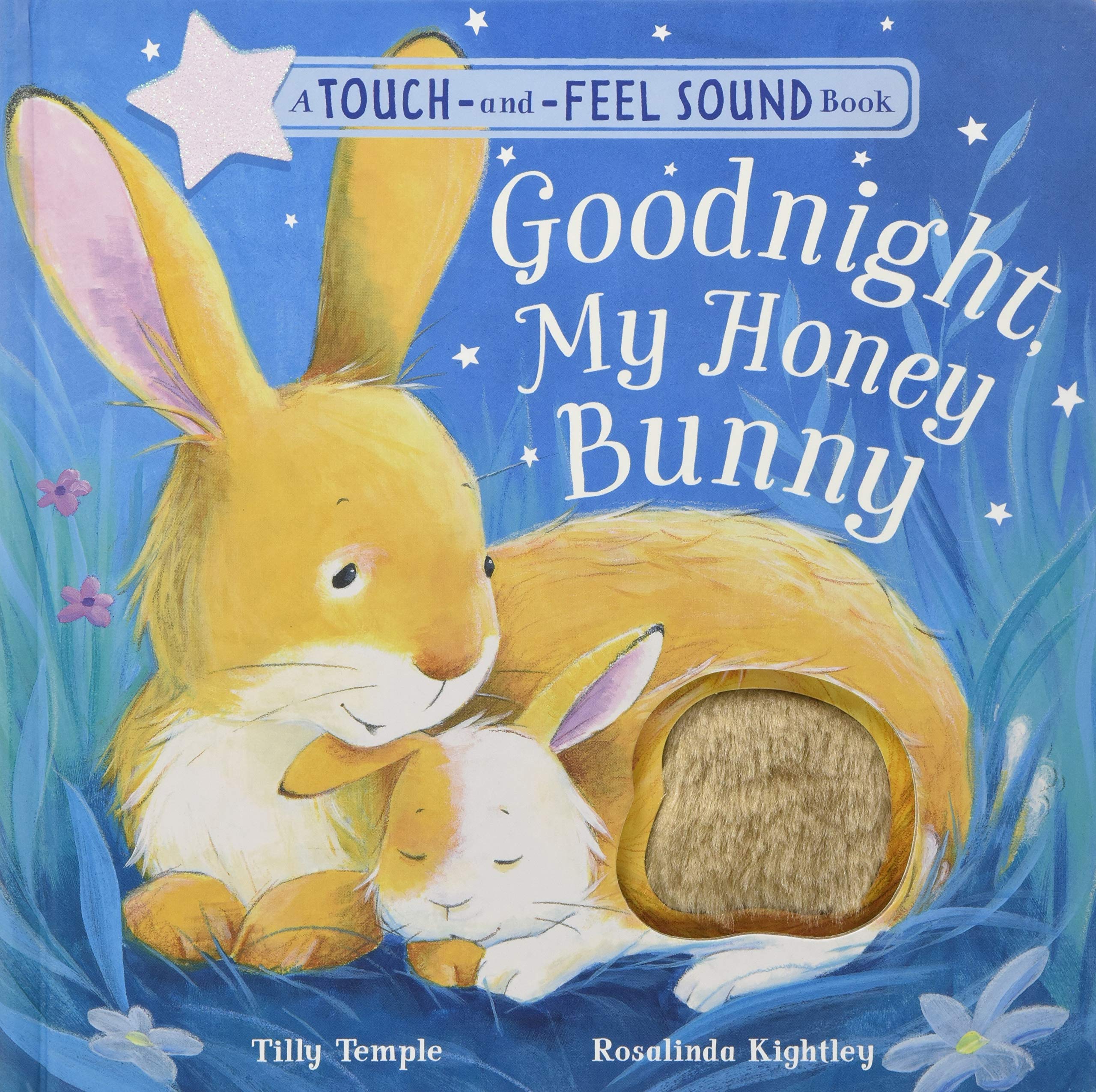 Goodnight My Honey Bunny (Board book)
