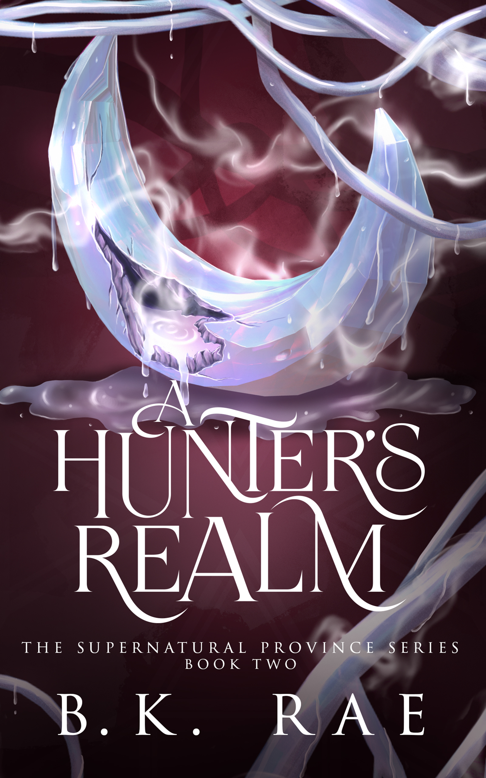 A Hunter's Realm (Supernatural Province #2)