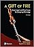 Gift of Fire, A: Social, Legal, and Ethical Issues for Computing Technology