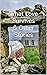 What Love Survives & Other Stories by DB MacInnes