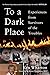 To a Dark Place: Experiences from Survivors of the Troubles