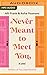 Never Meant to Meet You: A Novel