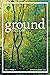 Ground Fiction by Gale Massey