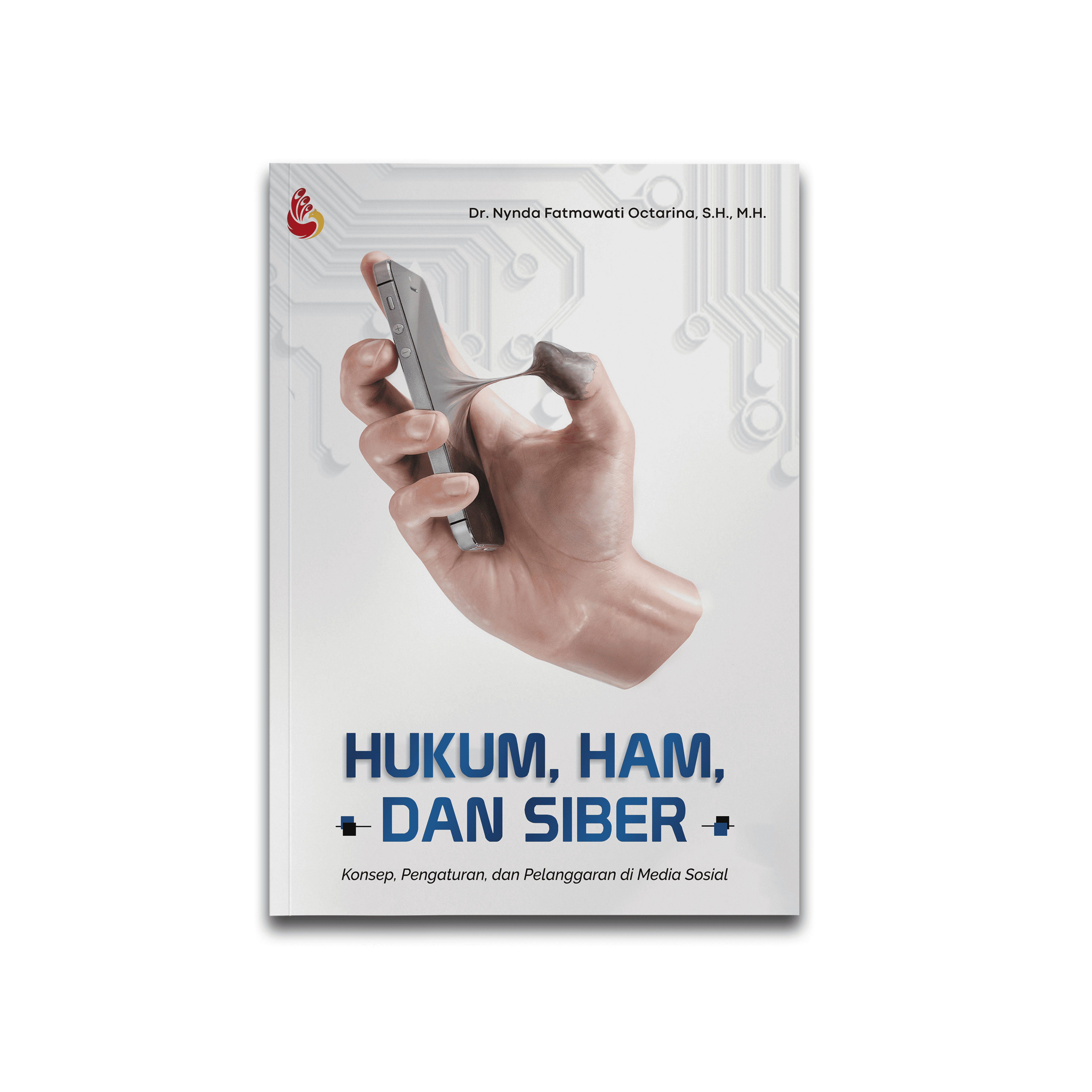 Hukum, HAM, dan Siber