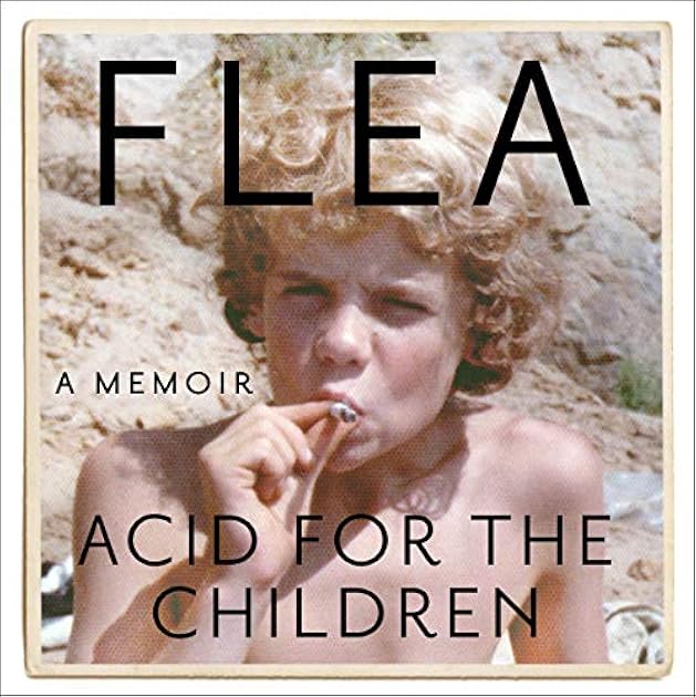 Acid for the Children: A Memoir