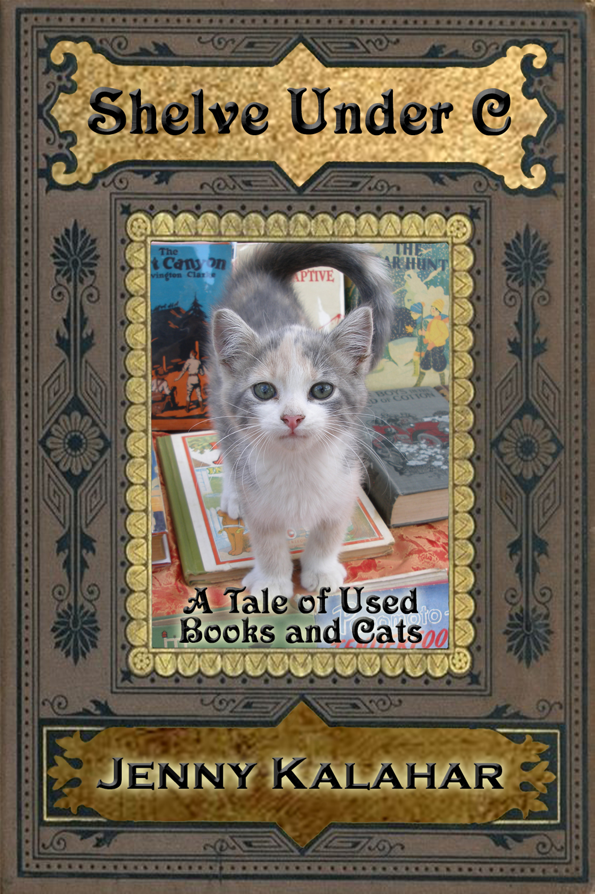Shelve Under C: A Tale of Used Books and Cats (Turning Pages #1)