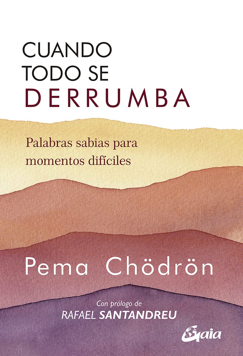 Cuando todo se derrumba (Kindle Edition)