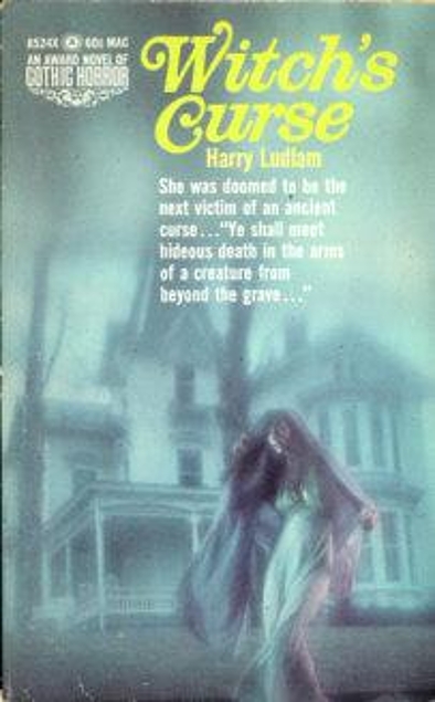 Witch's Curse (Paperback)