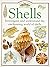 Shells (Eyewitness Explorers)