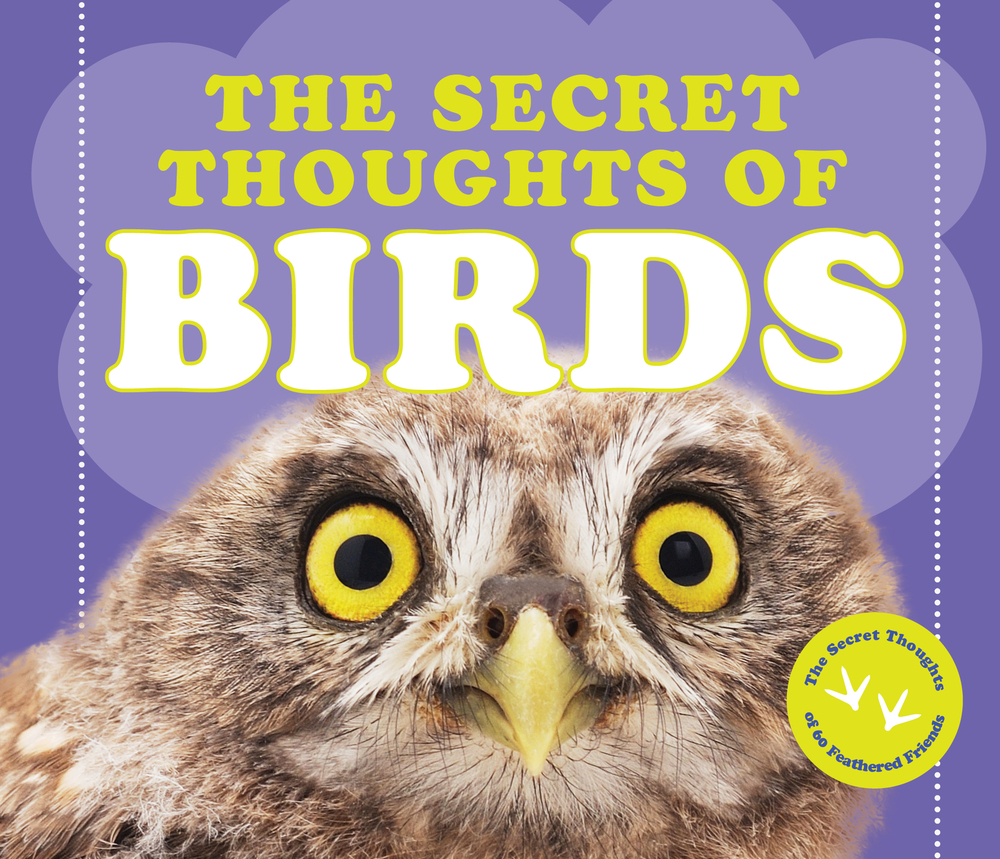 The Secret Thoughts of Birds (Secret Thoughts Series)