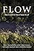 Flow: How to open the flow ...