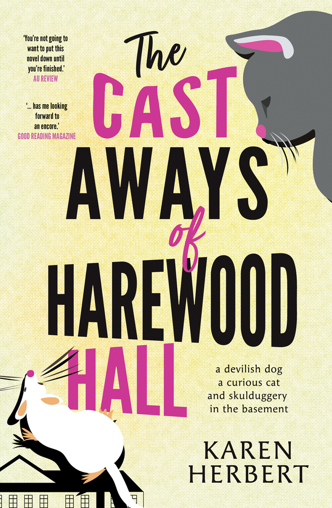 The Cast Aways of Harewood Hall (Paperback)