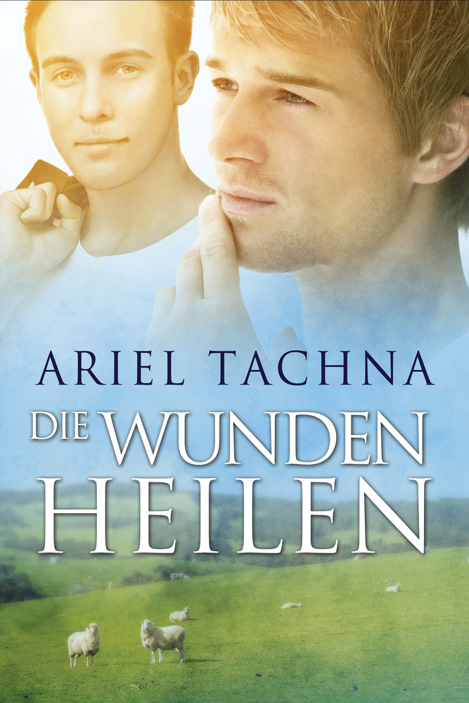 Die Wunden heilen (Lang Downs (Deutsch)) (German Edition)