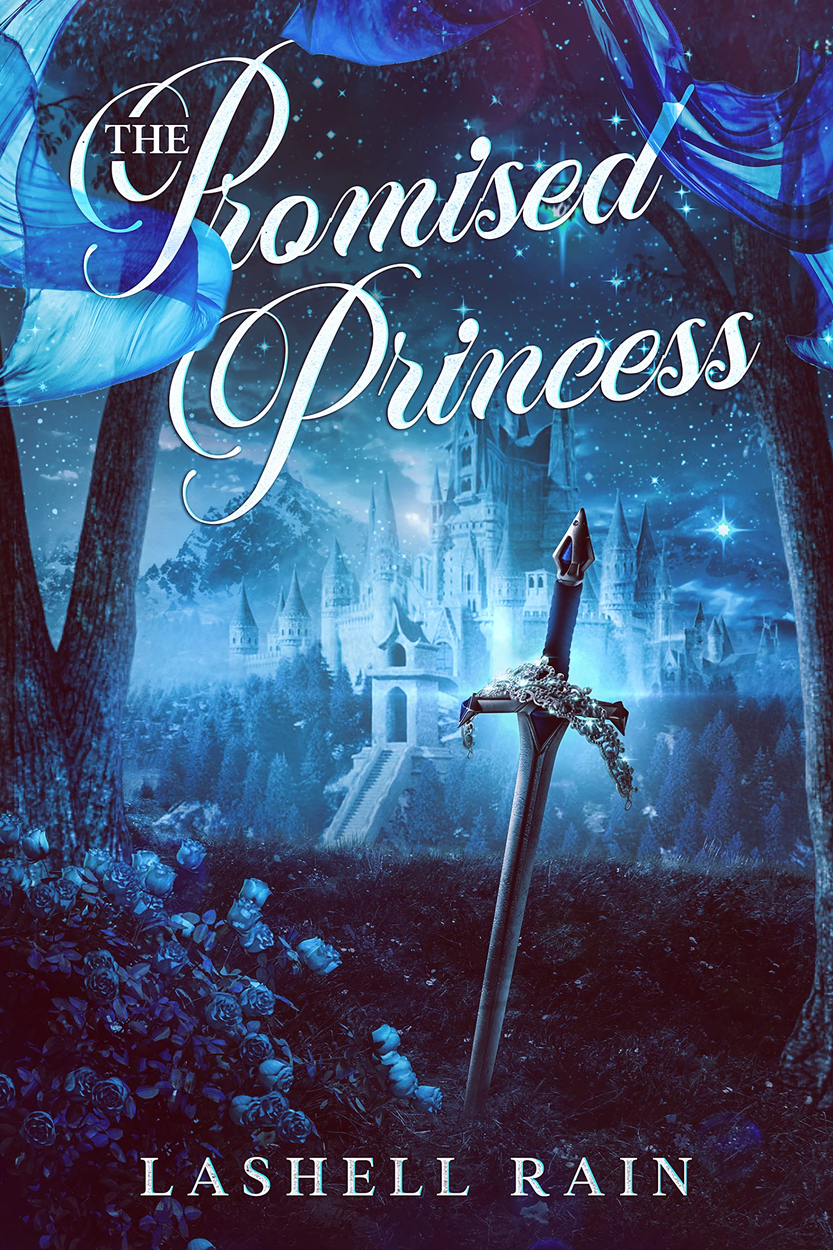 The Promised Princess (Kindle Edition)