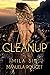 The Cleanup (The Diamond Series)