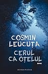 Cerul ca oțelul by Cosmin Leucuța