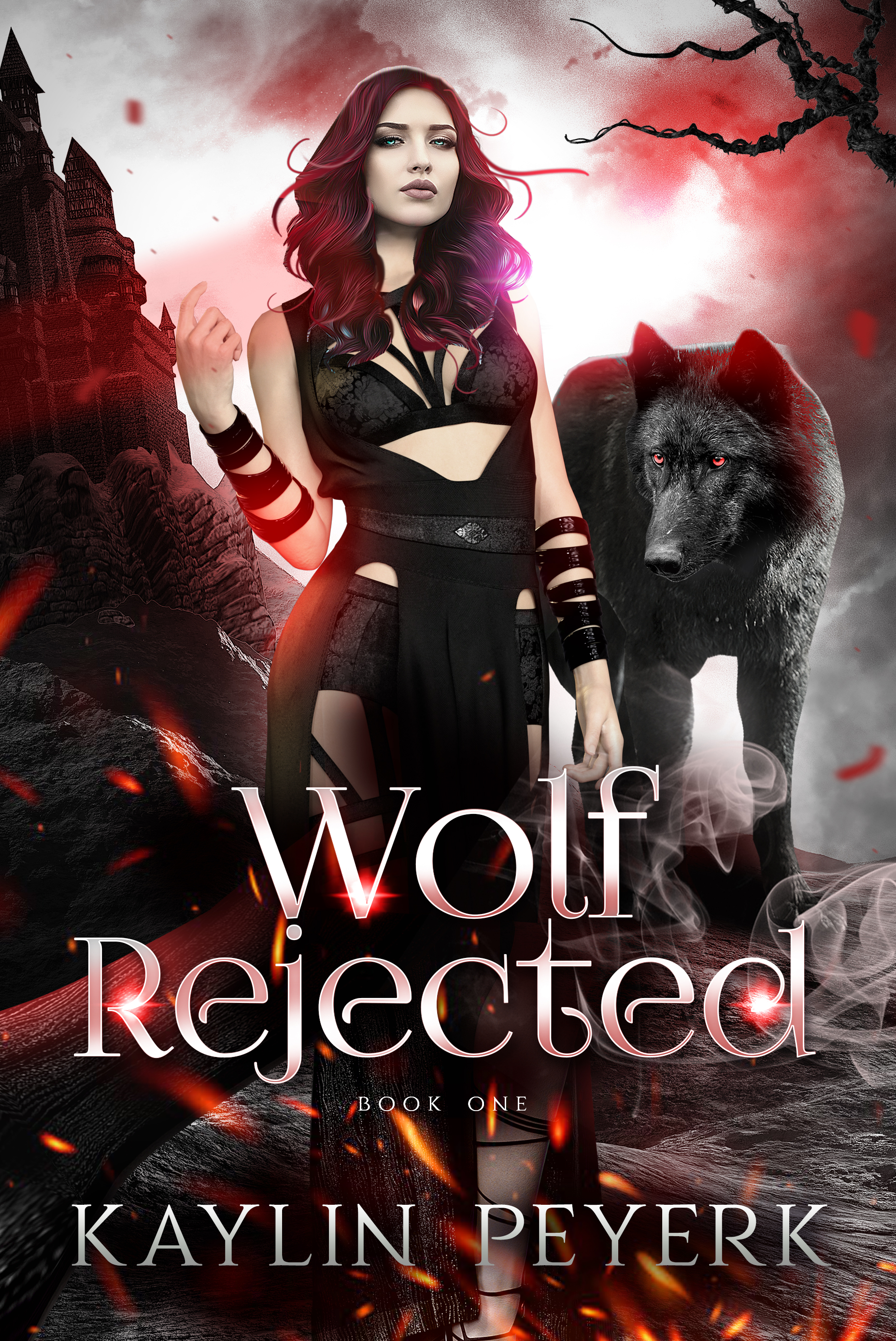 Wolf Rejected (Her Ferocious Mates #1)