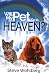 Will My Pet Go to Heaven by Steve Wohlberg