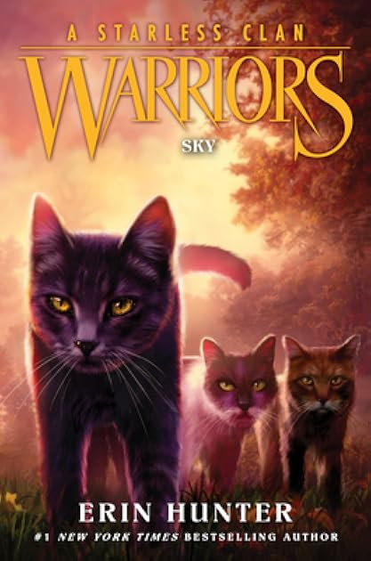 Sky (Warriors: A Starless Clan, #2)