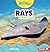 Rays: A First Look (Read about Ocean Animals (Read for a Better World ™))
