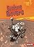 Explore Rovers (Lightning Bolt Books ® ― Exploring Space)