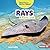Rays: A First Look (Read ab...