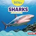 Sharks: A First Look (Read about Ocean Animals