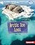 Arctic Ice Loss by Abbe L. Starr