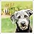 Love is a Mutt: A Dog-tasti...