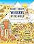 Secret Squid's Wonders of the World by Barry Ablett