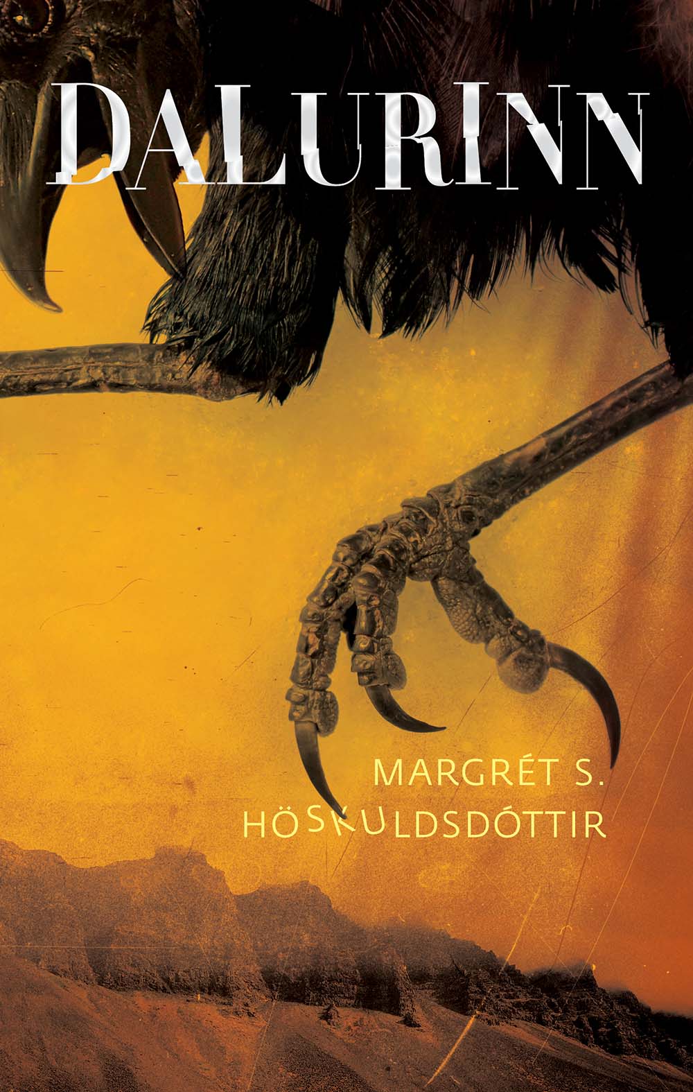 Dalurinn (Paperback)