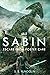 SABIN: Escape from Foster Care (Illibrium Book 1)