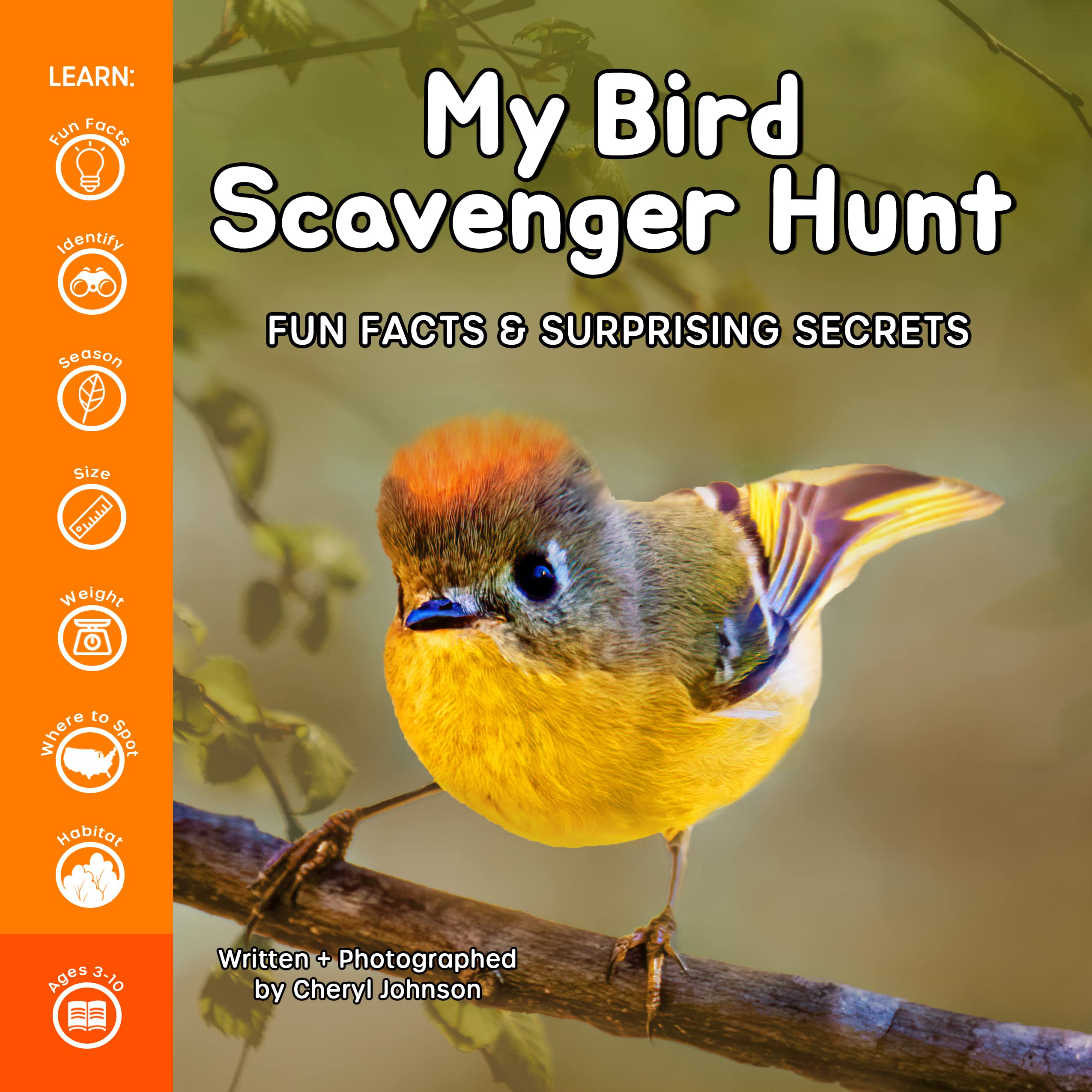 My Bird Scavenger Hunt (Paperback)
