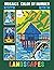MOSAICS COLOR BY NUMBER: Vol 02: Landscapes - Squares Coloring Book for Adults Relaxation and Stress Relief (Mystery Mosaics Color By Number)