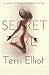 Secret Girl: A Domestic Thriller