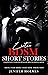 Erotic BDSM Short Stories f...