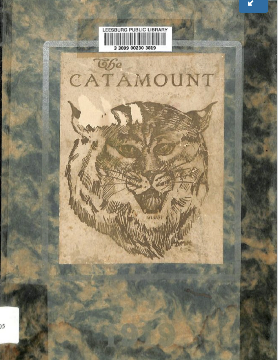 The Catamount (Hardcover)