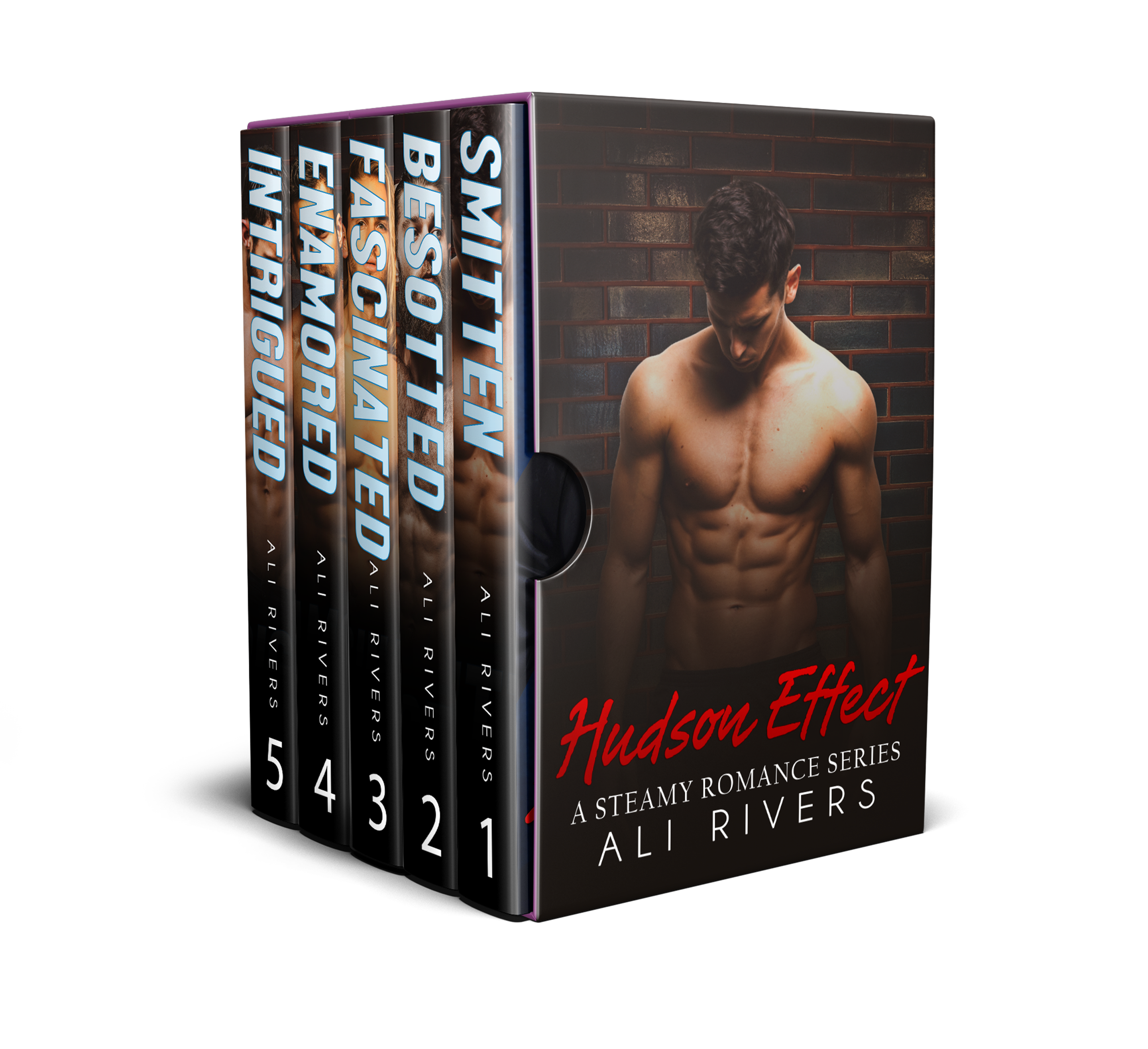 Hudson Effect Boxset (Hudson Effect #1-5)