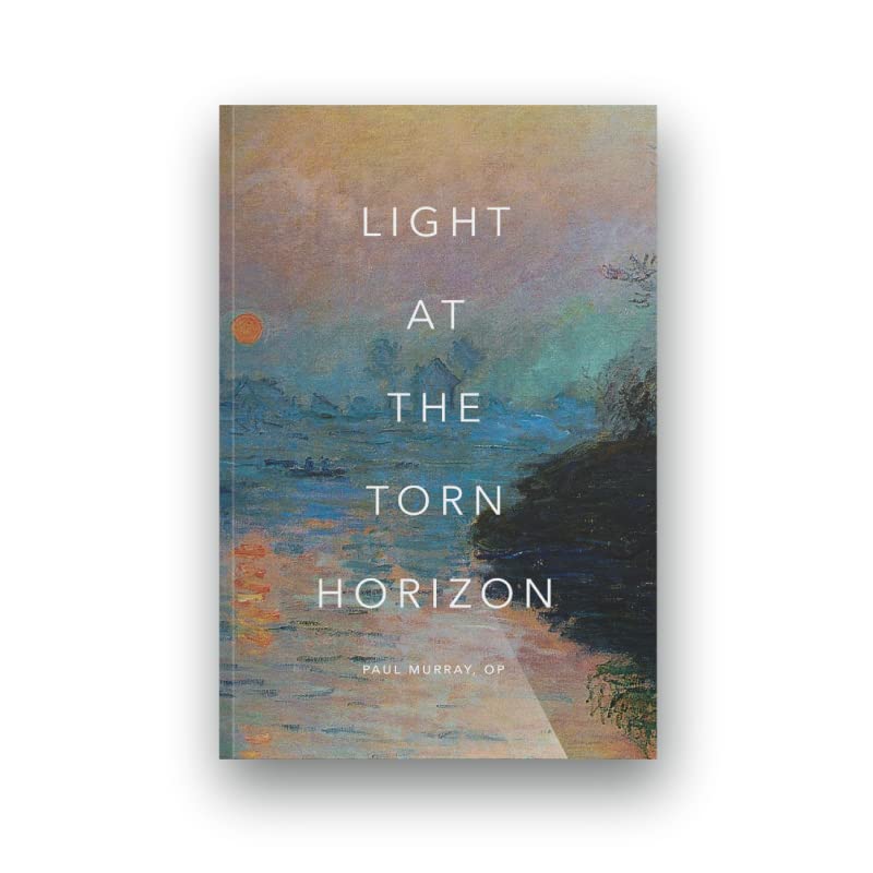 Light at the Torn Horizon (Paperback)