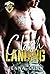 Clash Landing (Agile Security & Rescue, #5)