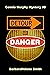 Detour to Danger (Connie Mu...