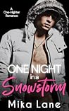 One Night in a Snowstorm by Mika Lane