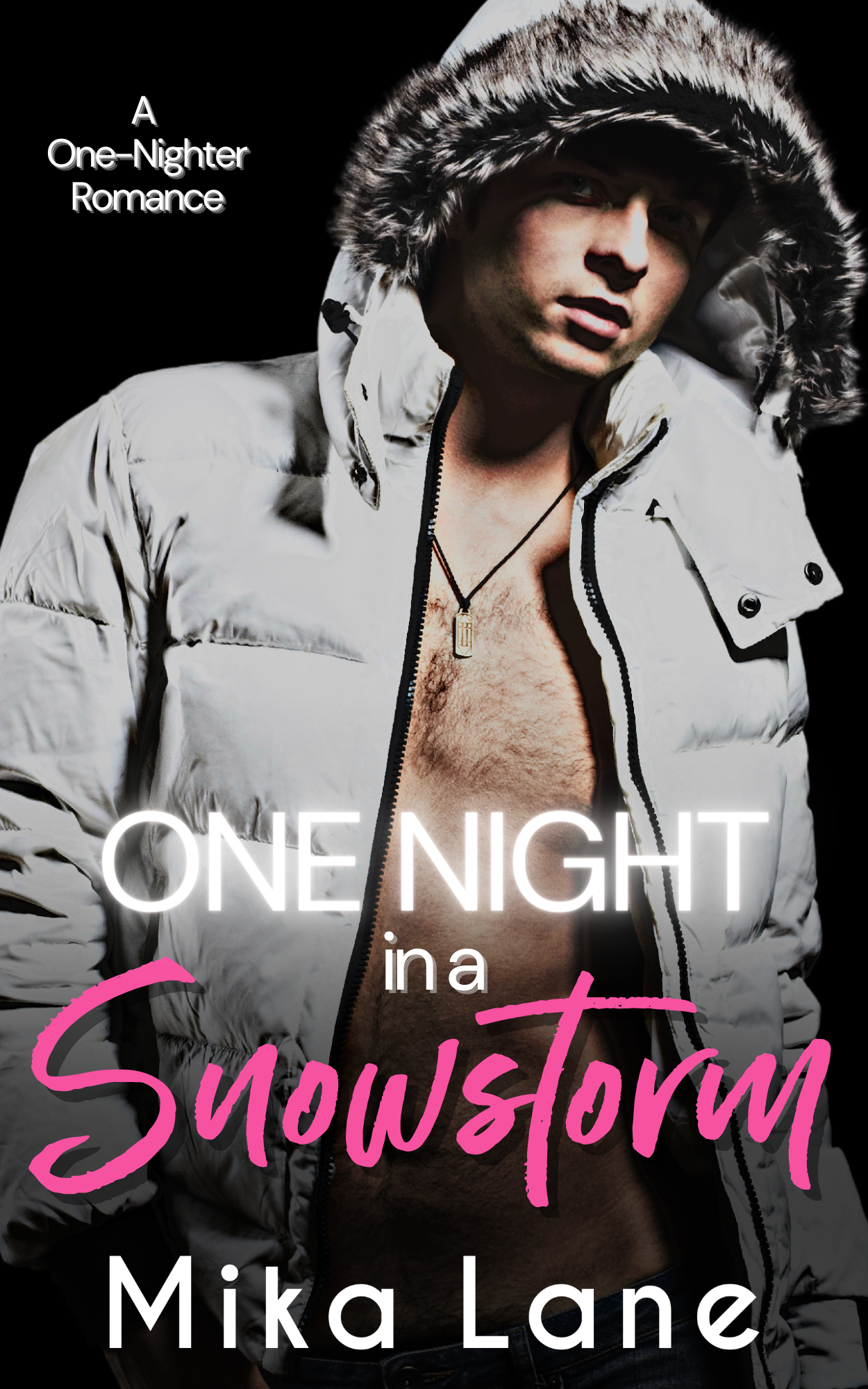 One Night in a Snowstorm (A One-Nighter Romance #1)