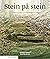 Stein på stein: Tekstbok - Norsk og samfunnskunnskap for voksne innvandrere, nivå B1